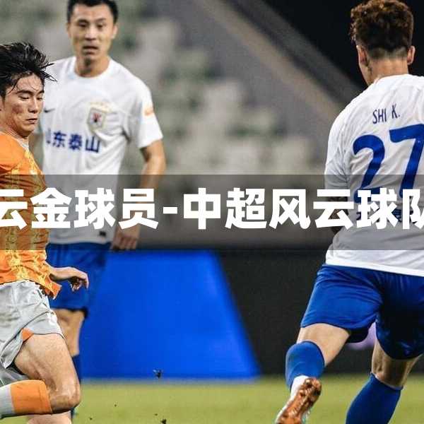 中超风云金球员-中超风云球队搭配